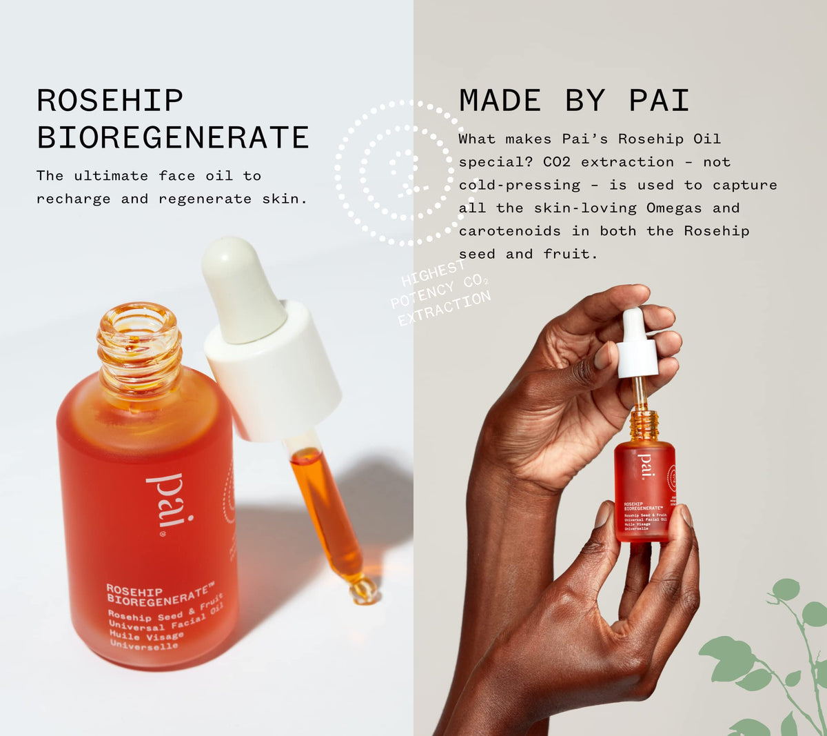PAI SKINCARE rosehip oil being applied on hand demonstrating quick absorption