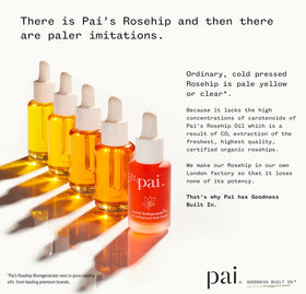 PAI SKINCARE rosehip oil texture pool illustrating lightweight absorbent finish