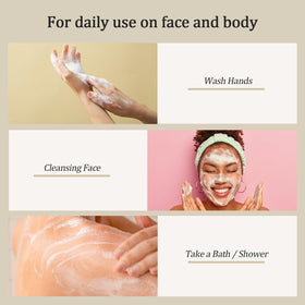 PALFICAB turmeric and kojic acid ingredients displayed for brightening