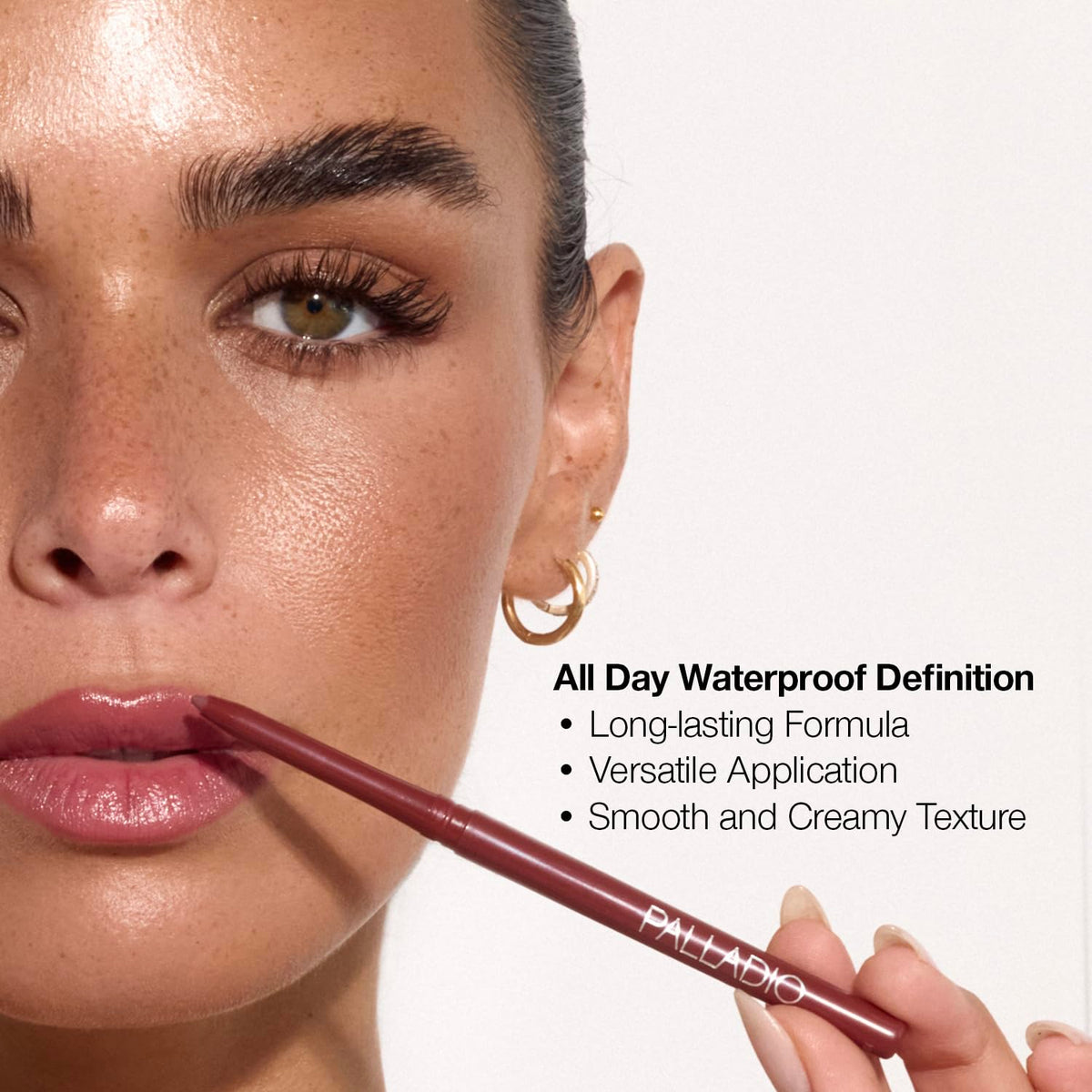 Palladio Raisin lipline application example showing precise definition benefit
