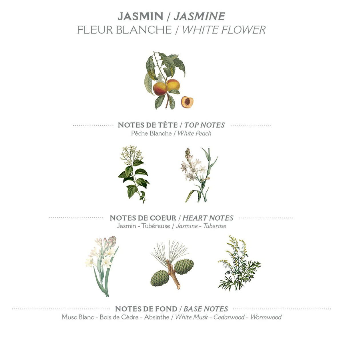 Panier des Sens olive and almond oils close-up highlighting nourishing natural ingredients