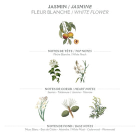Panier des Sens olive and almond oils close-up highlighting nourishing natural ingredients