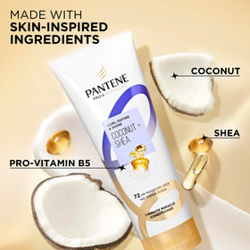 Pantene coconut and shea ingredients highlighting nourishing blend