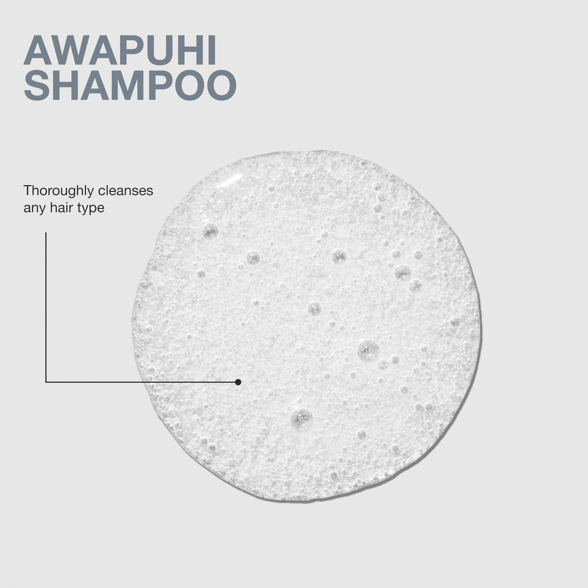 Paul Mitchell awapuhi ingredient visual suggesting natural moisture support