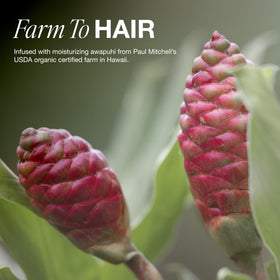 Paul Mitchell Awapuhi beside matching conditioner, suggests complete routine