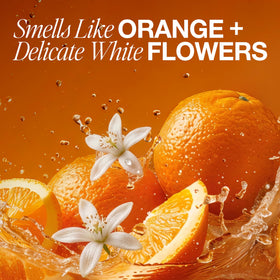 paul mitchell citrus and lily visuals indicating breezy Cara Cara orange fragrance