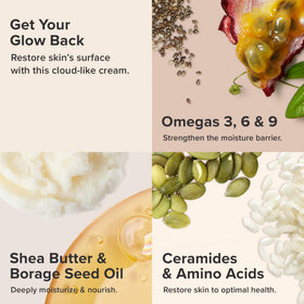 Paula's Choice chia and flaxseed ingredient display highlighting omega benefits