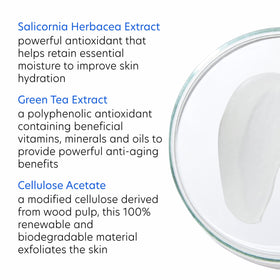 PCA SKIN ingredients label close-up emphasizing natural extracts
