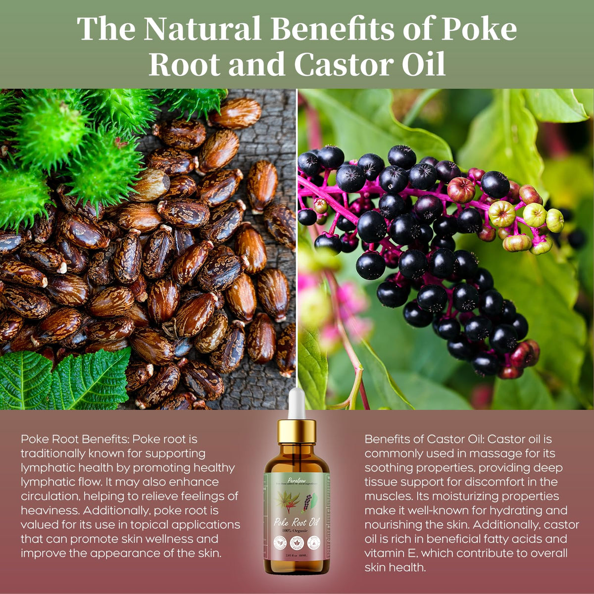 Peralpow poke root herb display highlighting sustainable sourcing
