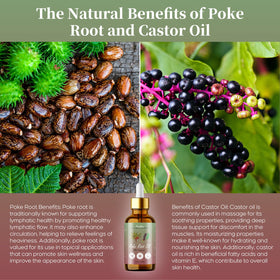 Peralpow poke root herb display highlighting sustainable sourcing