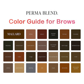 Perma Blend used in microblading demonstration for precise strokes benefit
