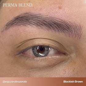 Perma Blend healed brows before and after showing neutralized warm tones