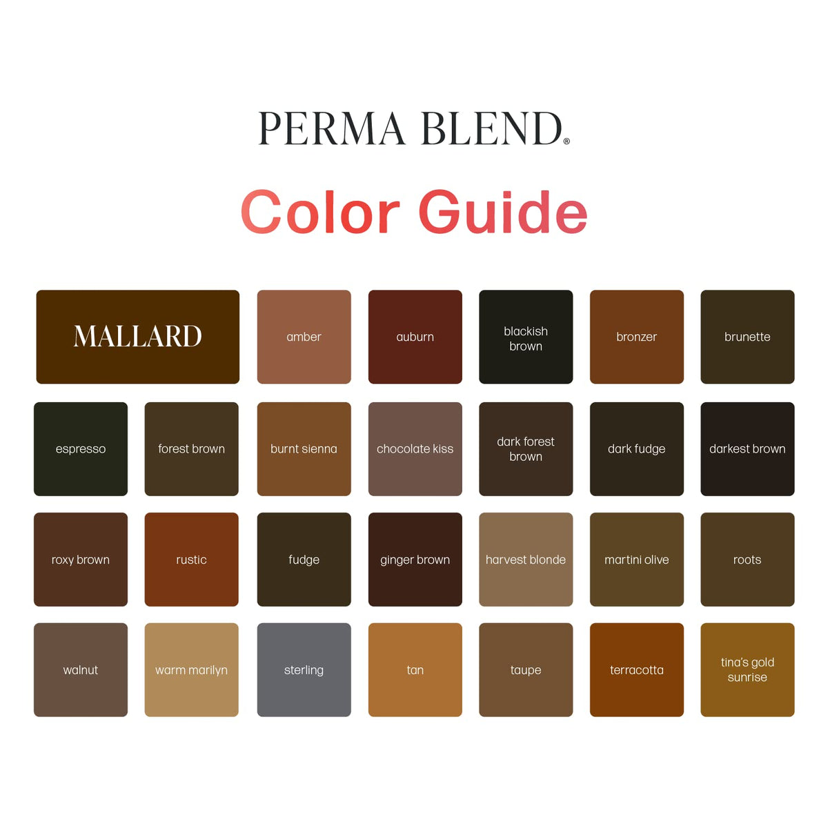 Perma Blend kit beside coin showing compact professional size benefit