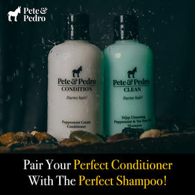 Pete & Pedro conditioned hair after drying showing improved shine