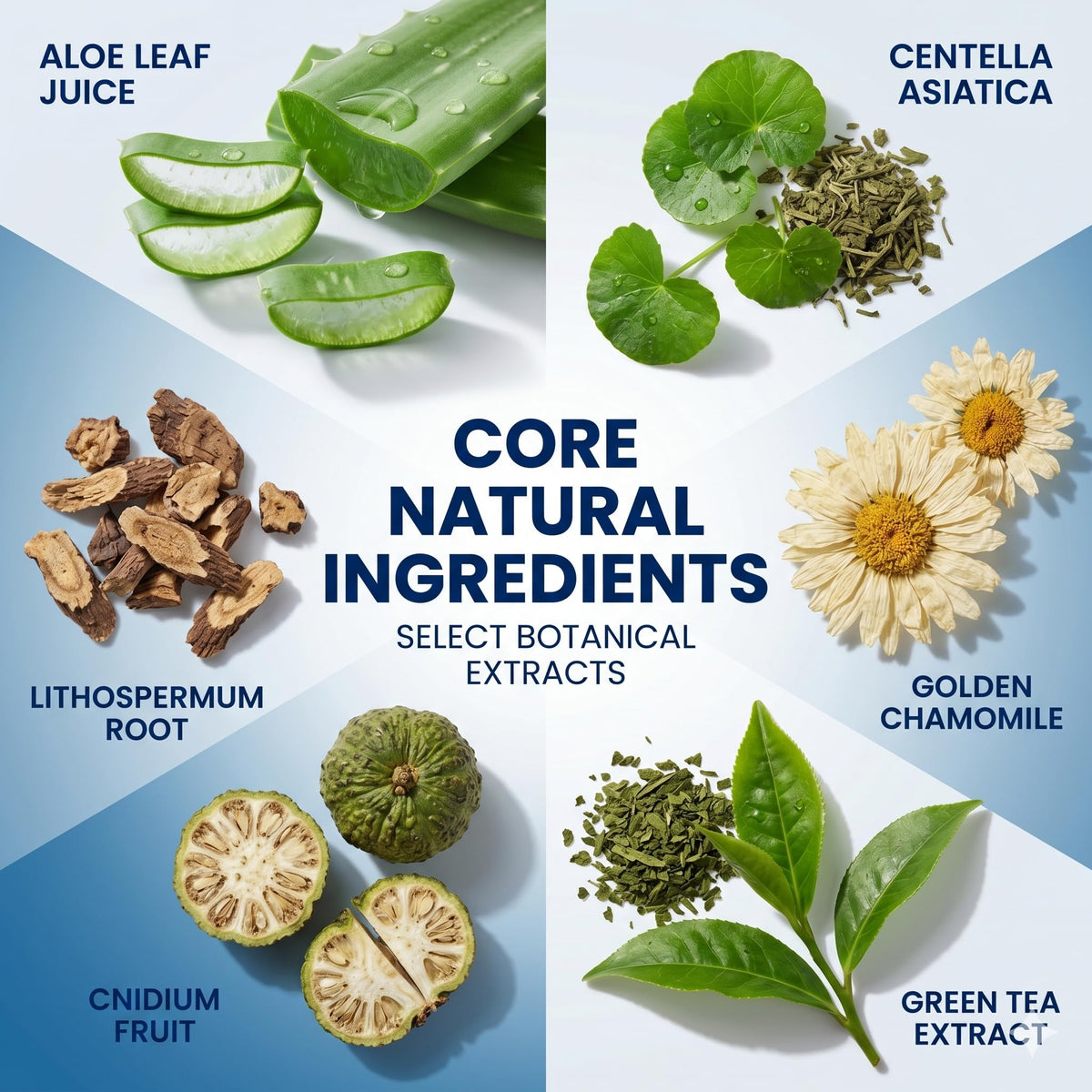 Peunitory label close-up highlighting Centella and ceramides for calming benefits