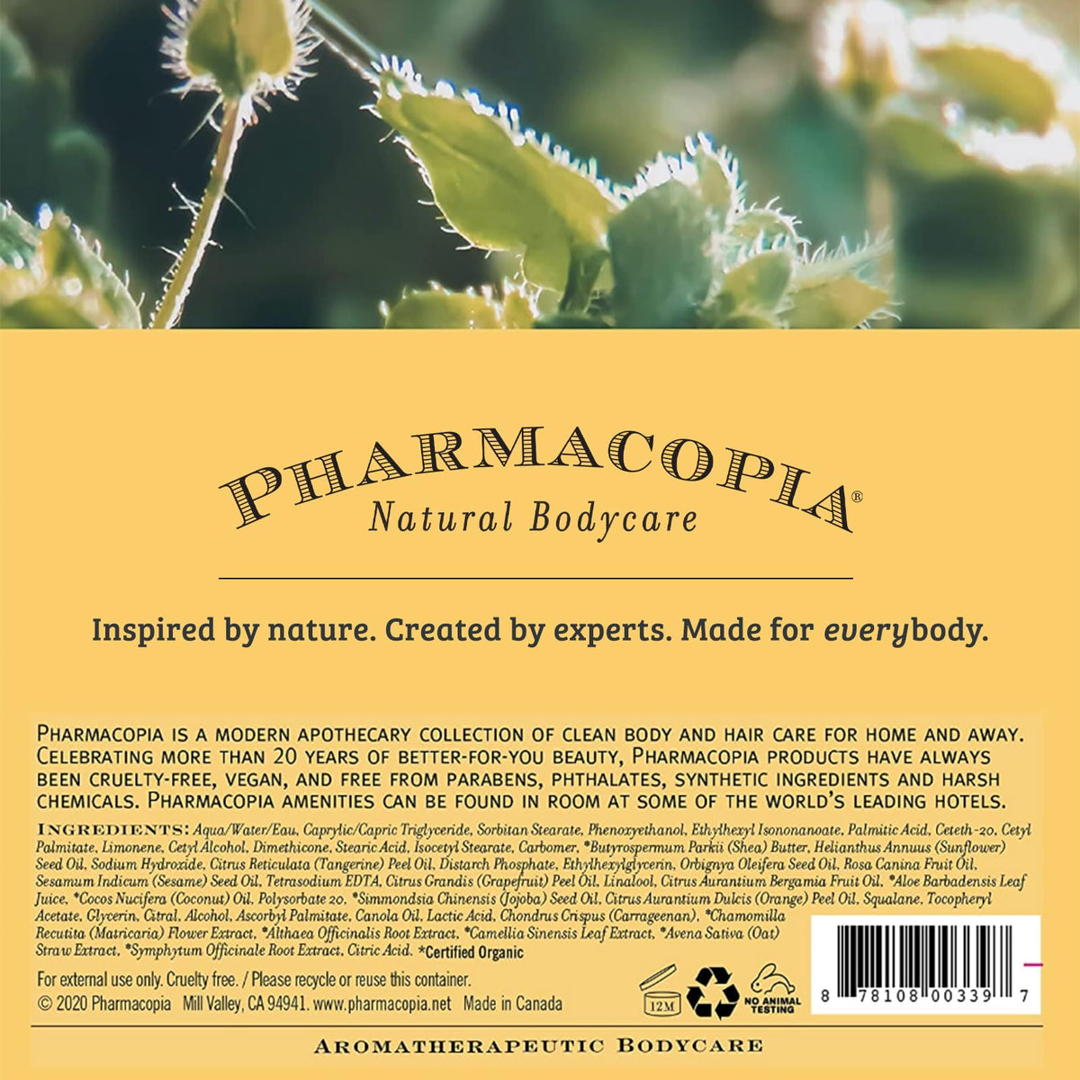 Pharmacopia on bathroom shelf evoking everyday ritual and mood-lift benefit