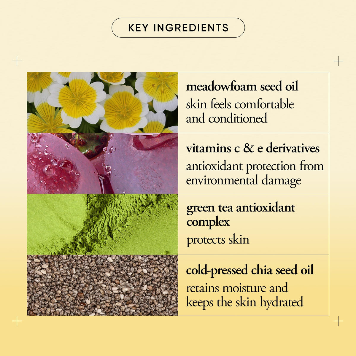 philosophy texture closeup illustrating lightweight cream and quick-absorbing finish