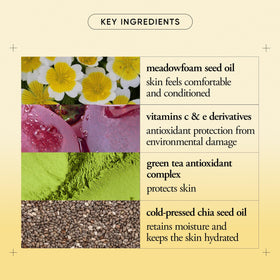 philosophy texture closeup illustrating lightweight cream and quick-absorbing finish