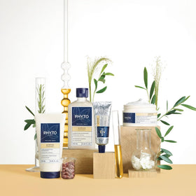 PHYTO close-up of jojoba seeds and botanicals, emphasizes nourishing ingredient