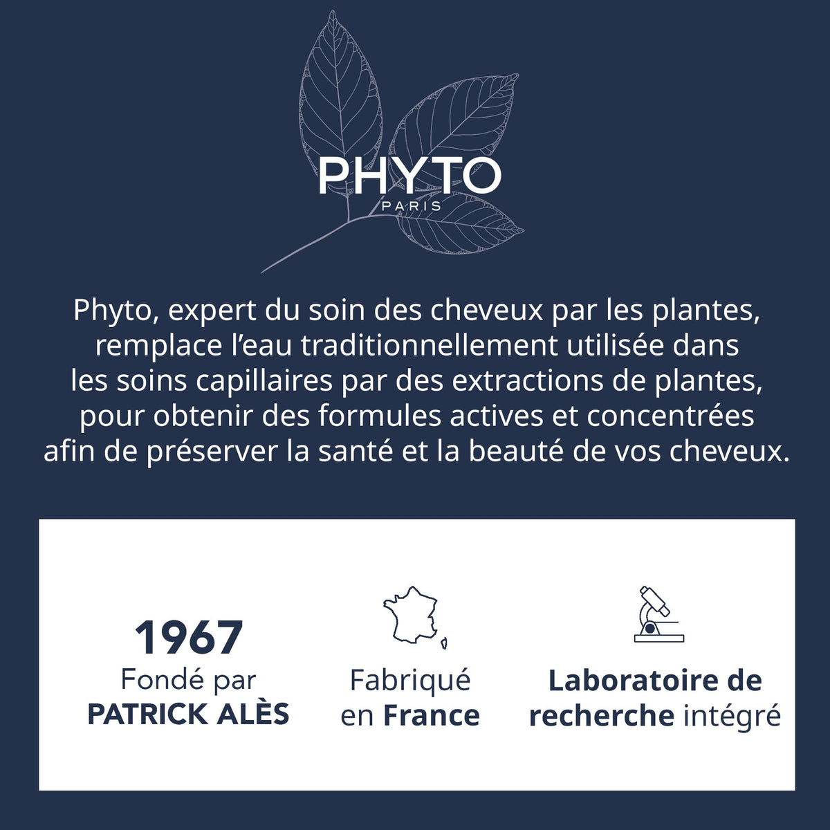 PHYTO product on bathroom vanity styled for routine use and elegant plant-based care