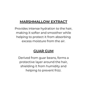 PHYTO application on damp hair demonstrating even distribution for smoother blow-dry results