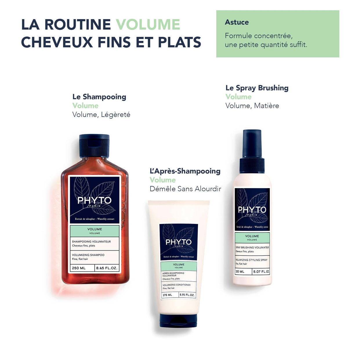 PHYTO applying conditioner to mid-lengths demonstrating root-lift preservation