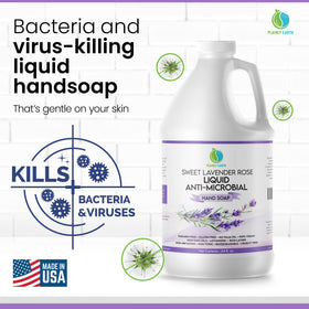 Plainly Earth ingredient label close-up highlighting clean, vegan formulation