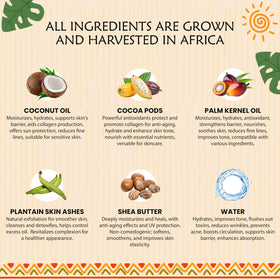 Plant Guru ingredients displayed: coconut, plantain, shea for natural sourcing