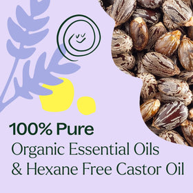 Plant Therapy roll-on back label close-up showing ingredients and organic certification benefit transparency