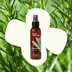 Plant Therapy rosemary hydrosol label detail highlighting product information and size