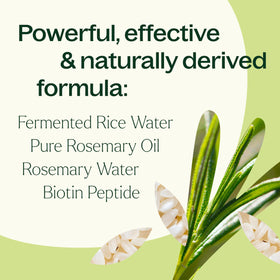 Plant Therapy bottle placed in a bathroom setting suggesting daily routine use