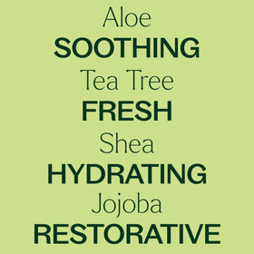 Plant Therapy ingredients display with aloe, shea, and sunflower oil