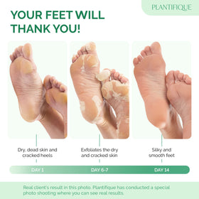 PLANTIFIQUE close-up of boot interior serum highlighting nourishing formula