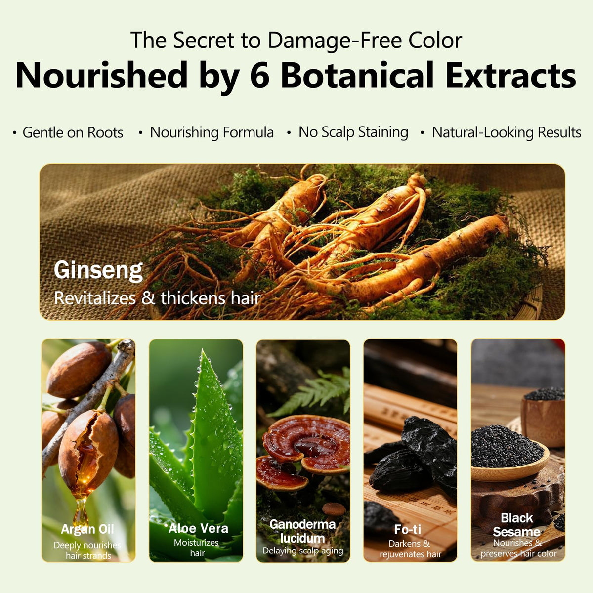 Plantkonw close-up label listing plant extracts and gentle, ammonia-free formulation benefit