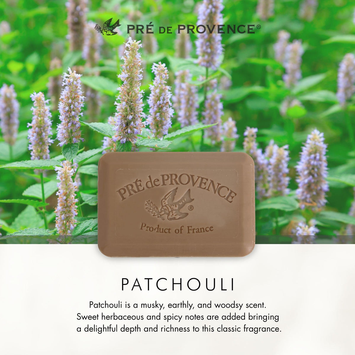 Pré de Provence soap in a gift basket presenting a luxury shower or hostess gift