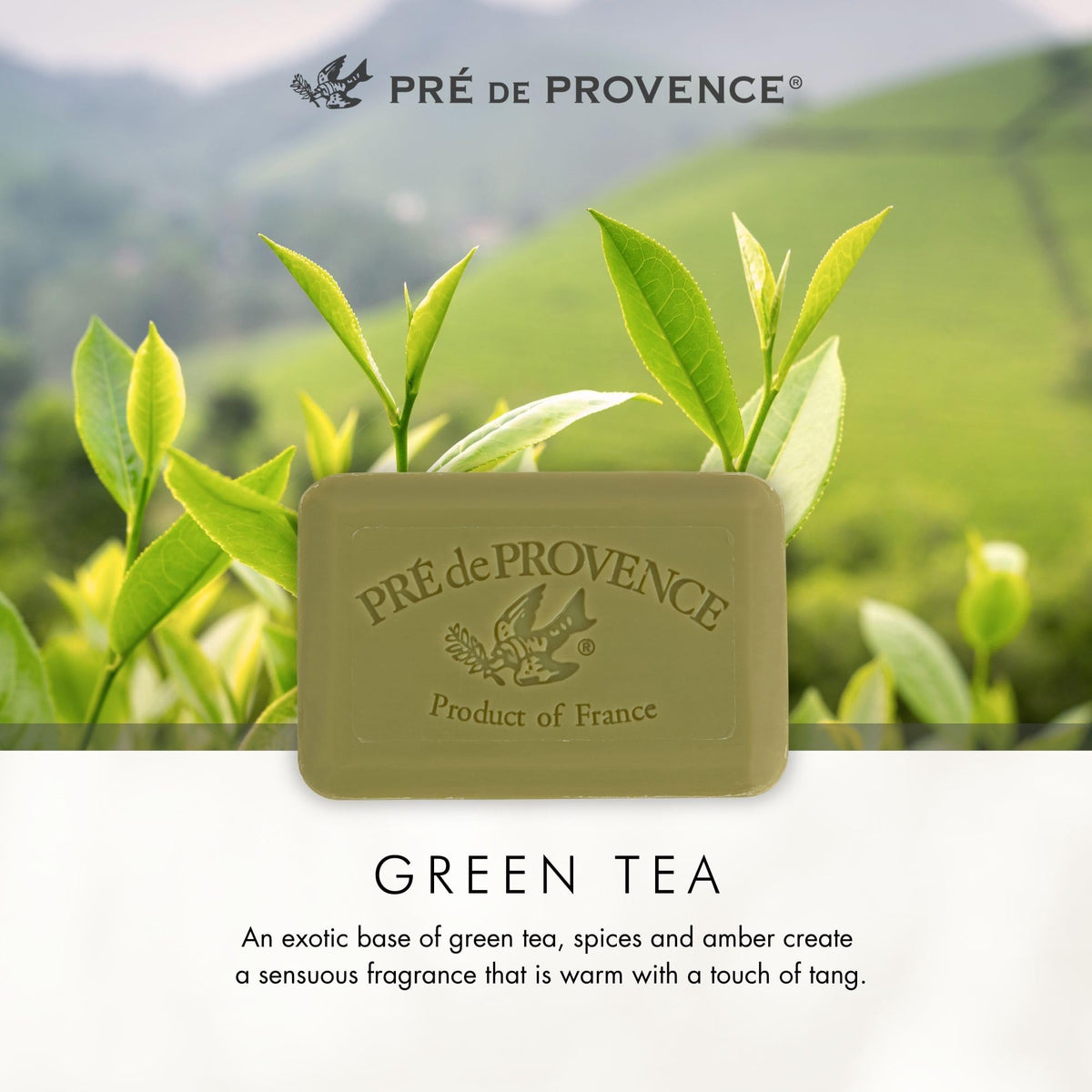 Pre de Provence soap wrapped as a gift illustrating gifting appeal and luxury benefit