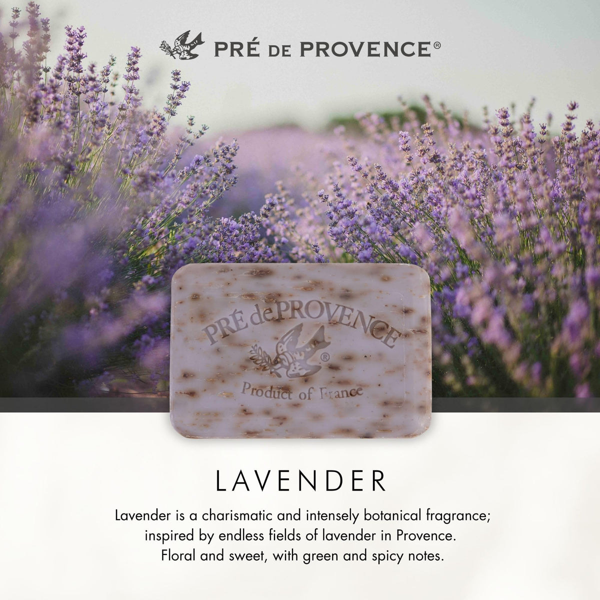 Pre de Provence gift wrap idea presenting lavender soap as elegant present