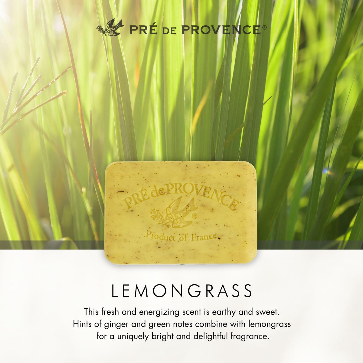 Pre de Provence soap presented in gift basket suggesting luxury present-ready benefit