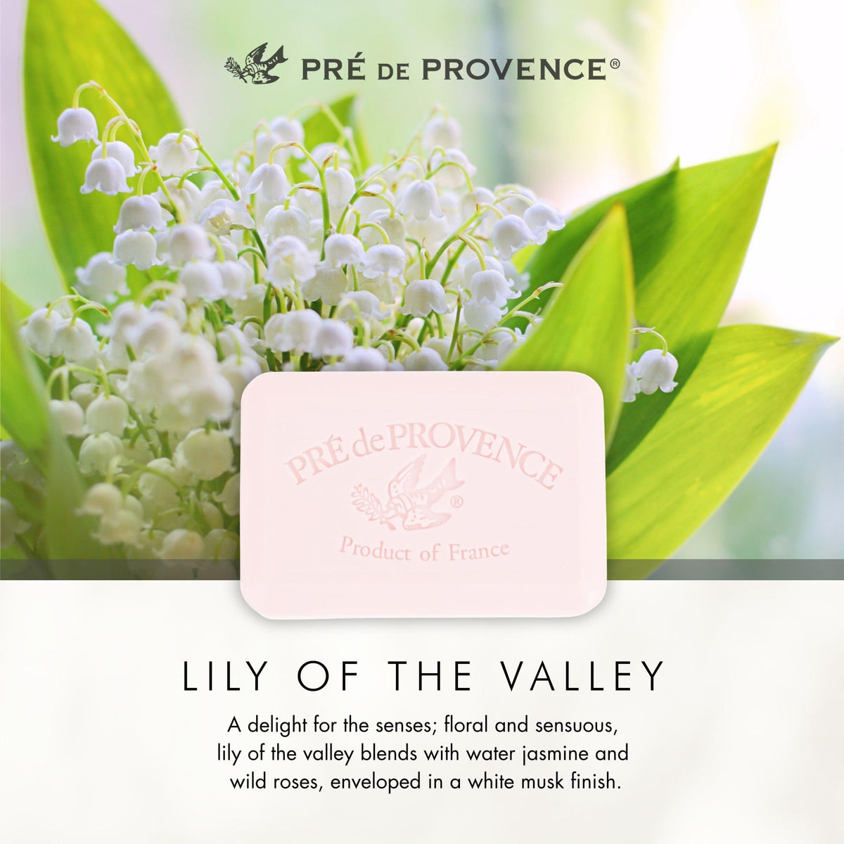 Pre de Provence bar beside ruler illustrating 4 x 2.75 x 1.37 inch size clarity