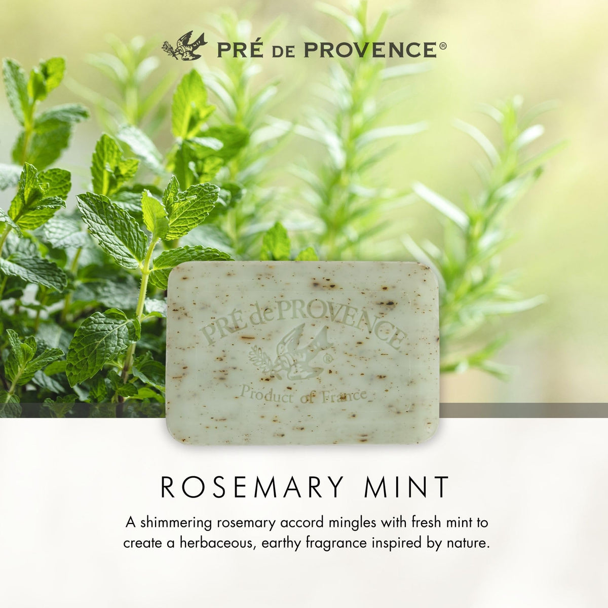 Pre de Provence rosemary and mint scent illustration conveying fresh herbal fragrance benefit