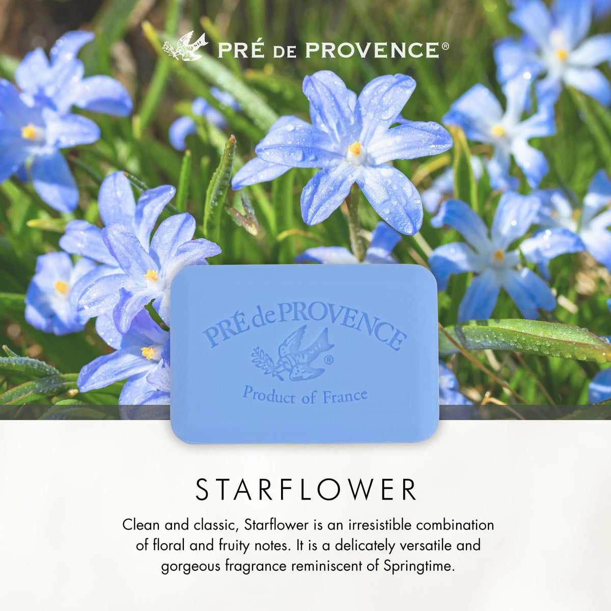 Pre de Provence starflower bar wrapped as a gift conveying luxury appeal