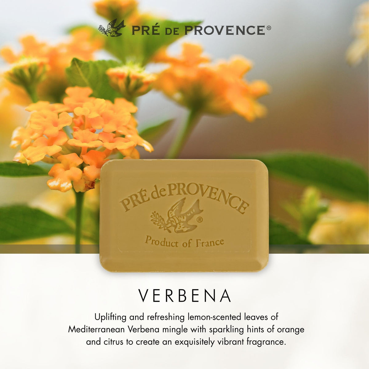 Pre de Provence soap in gift box showing premium presentation for gifting
