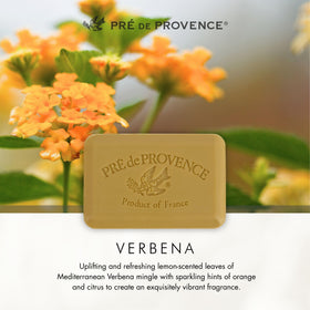 Pre de Provence soap in gift box showing premium presentation for gifting