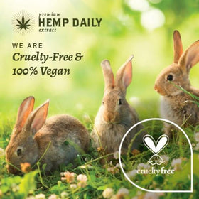 Premium Hemp Extract Daily ingredient label closeup highlighting organic, THC-free blend
