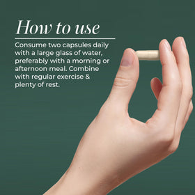 Primal Harvest capsules in hand demonstrating serving size and convenience