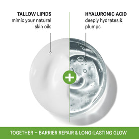 PROJECT 701 pea-sized serving on fingertip to show concentrated, long-lasting benefit
