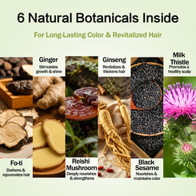 Prypvix botanical ingredients flatlay highlighting natural herb benefits
