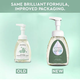 puracy cucumber and mint illustration conveying fresh scent benefit