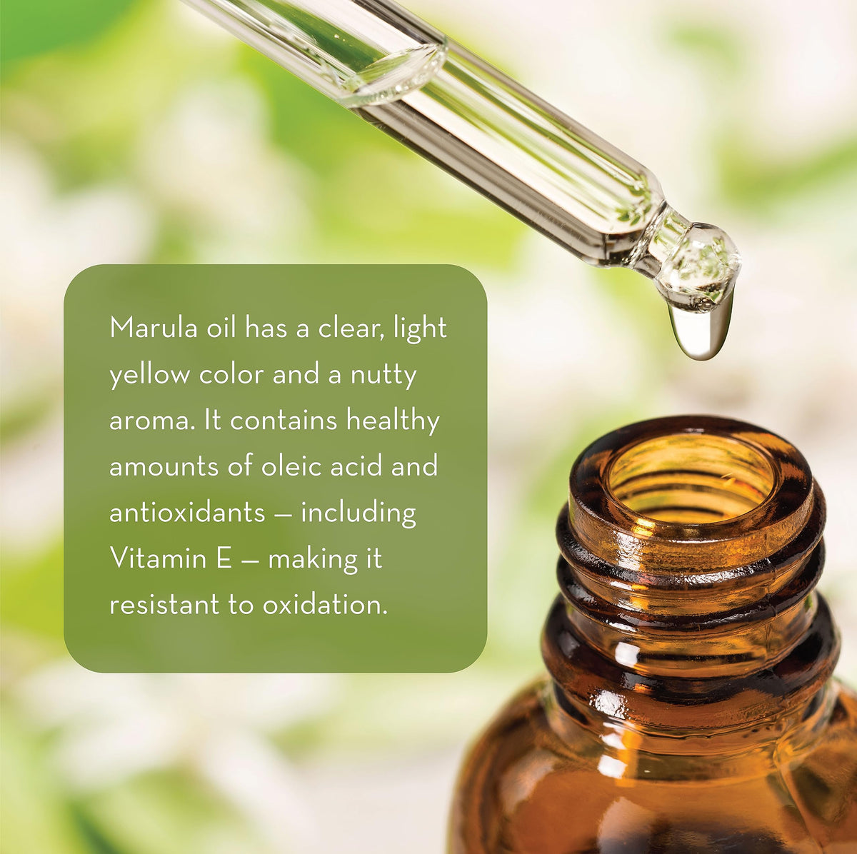 Pure Body Naturals oil texture close-up highlighting smooth, non-greasy finish