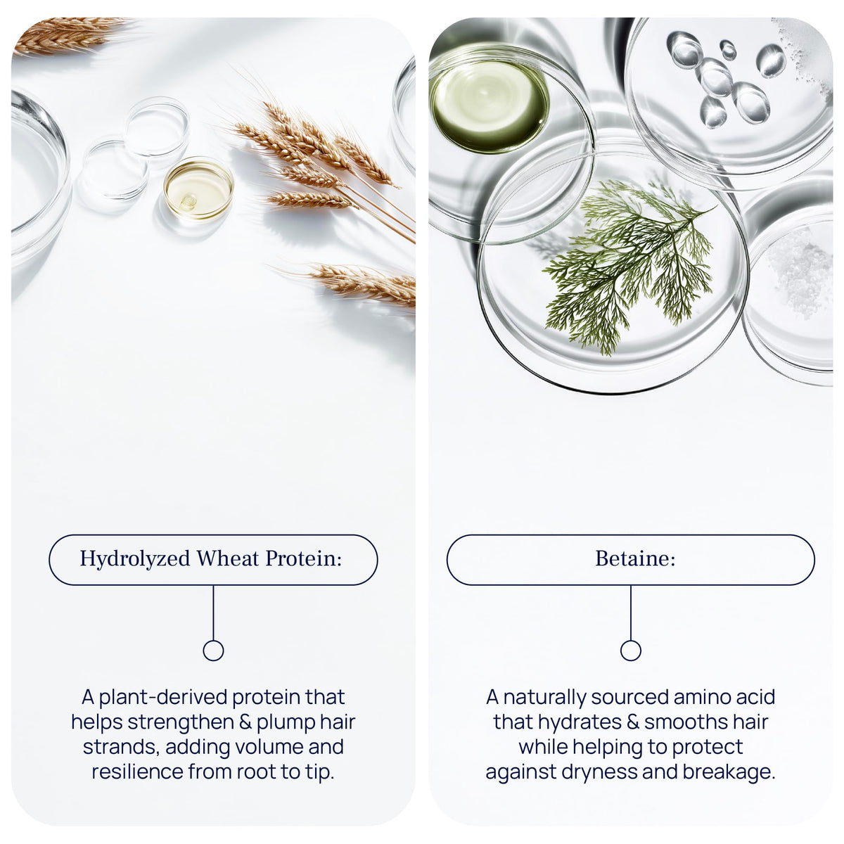 Close-up lather of PUREANCE Hydralift highlighting lightweight foaming benefit